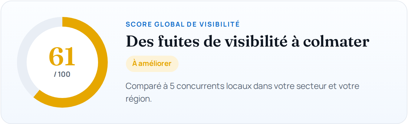 Exemple de score global de visibilité